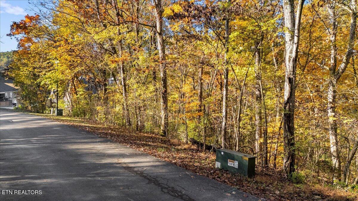 1510 Sequoia Drive, Maryville, TN - Fort Loudoun and Tellico Lake Real Estate - Image# 12