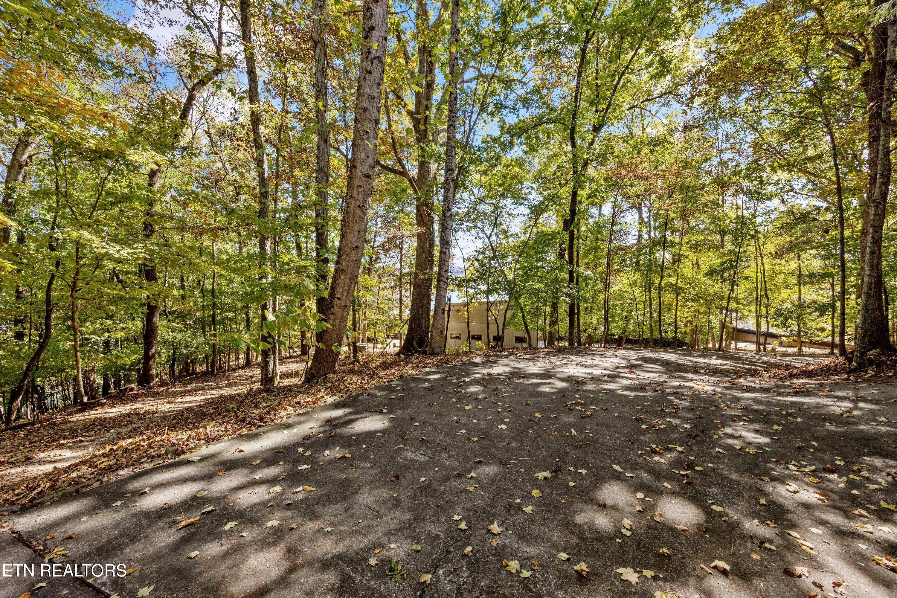 8832 Cove Point Lane, Knoxville, TN - Fort Loudoun and Tellico Lake Real Estate - Image# 6