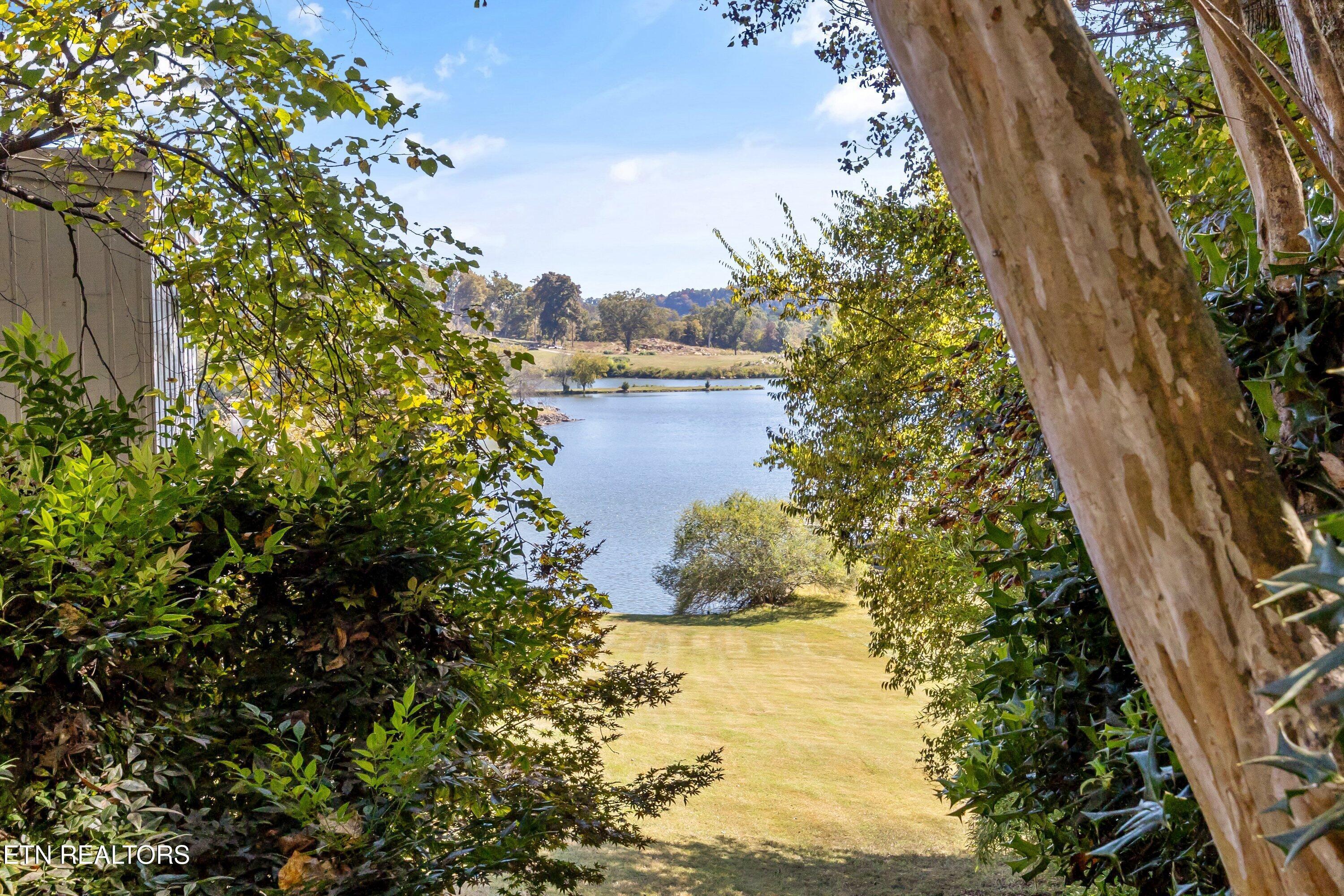 8832 Cove Point Lane, Knoxville, TN - Fort Loudoun and Tellico Lake Real Estate - Image# 7