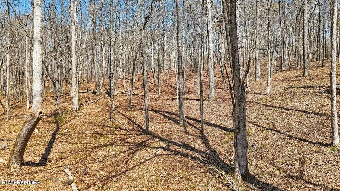 1300 Old Sugar Limb Rd, Loudon, TN - Fort Loudoun and Tellico Lake Real Estate - Image# 3