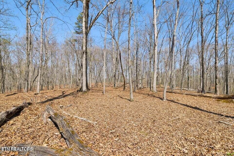 1300 Old Sugar Limb Rd, Loudon, TN - Fort Loudoun and Tellico Lake Real Estate - Image# 4