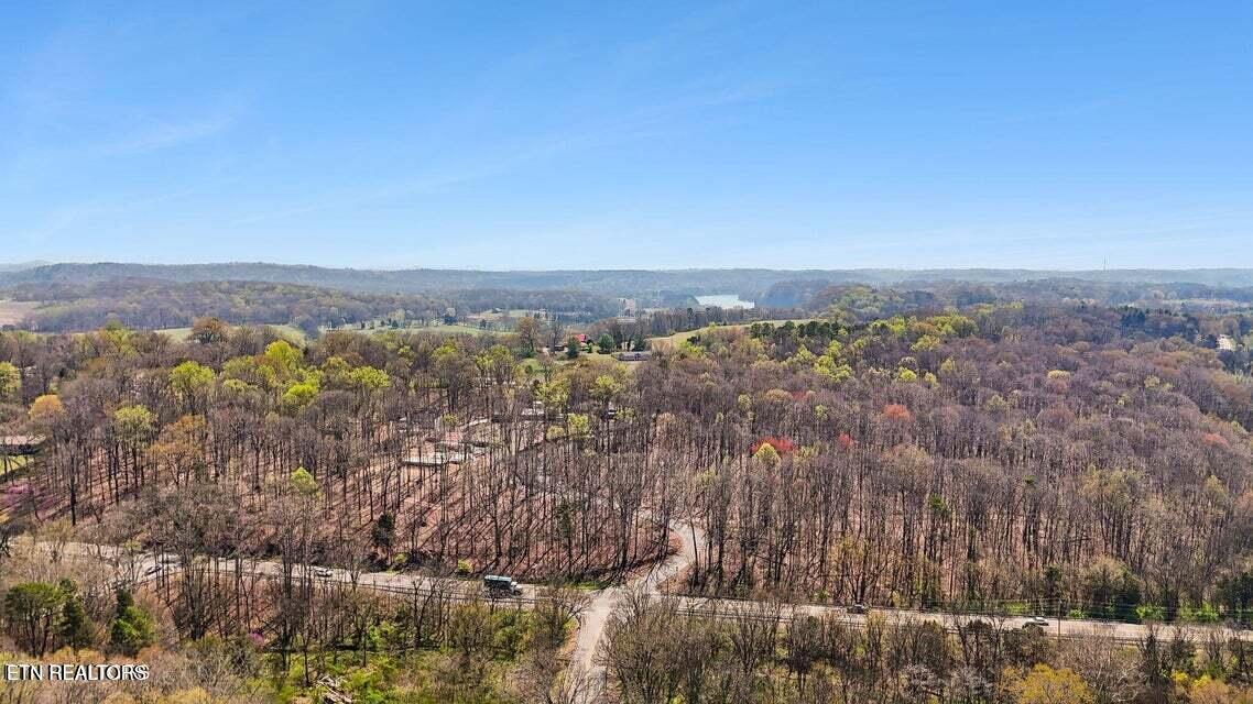 1300 Old Sugar Limb Rd, Loudon, TN - Fort Loudoun and Tellico Lake Real Estate - Image# 12