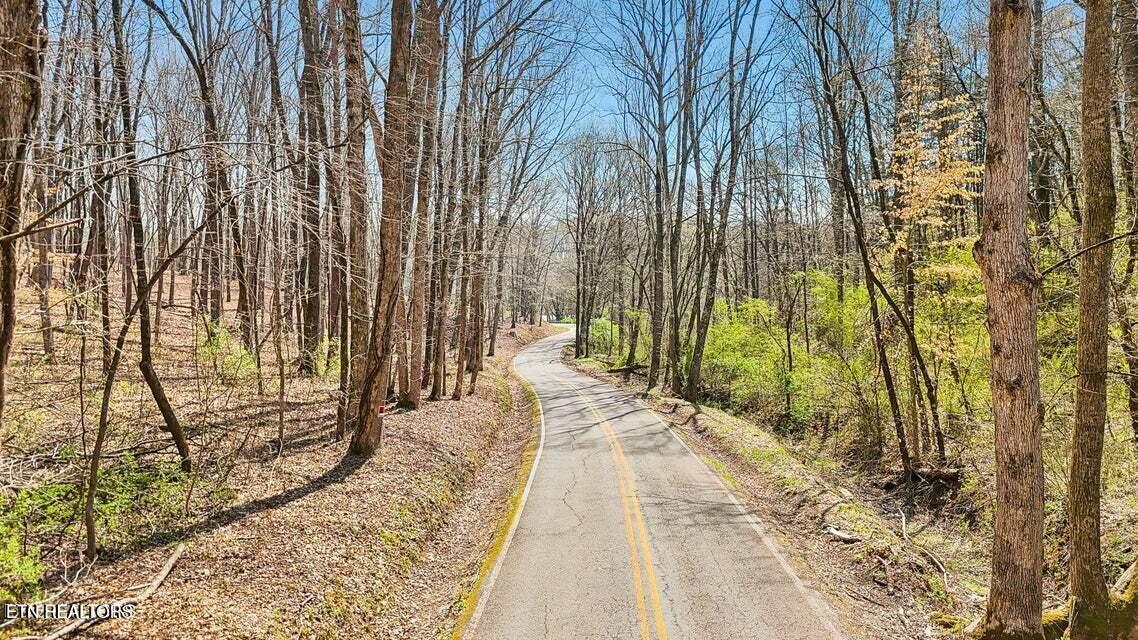 1300 Old Sugar Limb Rd, Loudon, TN - Fort Loudoun and Tellico Lake Real Estate - Image# 17