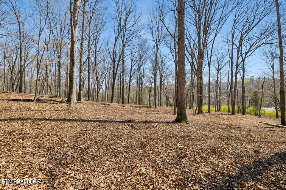1300 Old Sugar Limb Rd, Loudon, TN - Fort Loudoun and Tellico Lake Real Estate - Image# 24