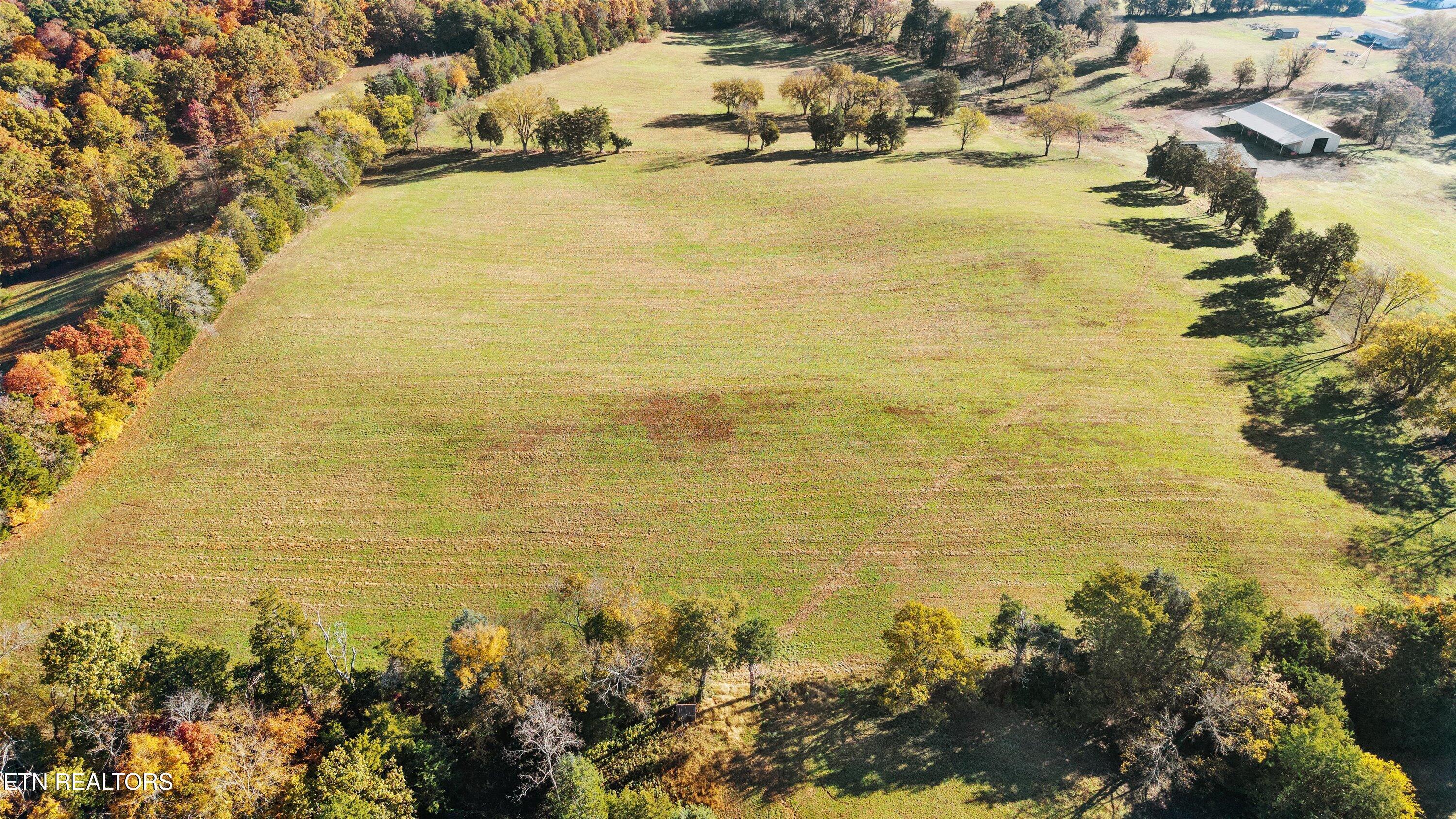 727 Bales Hollow Rd, Friendsville, TN - Fort Loudoun and Tellico Lake Real Estate - Image# 8