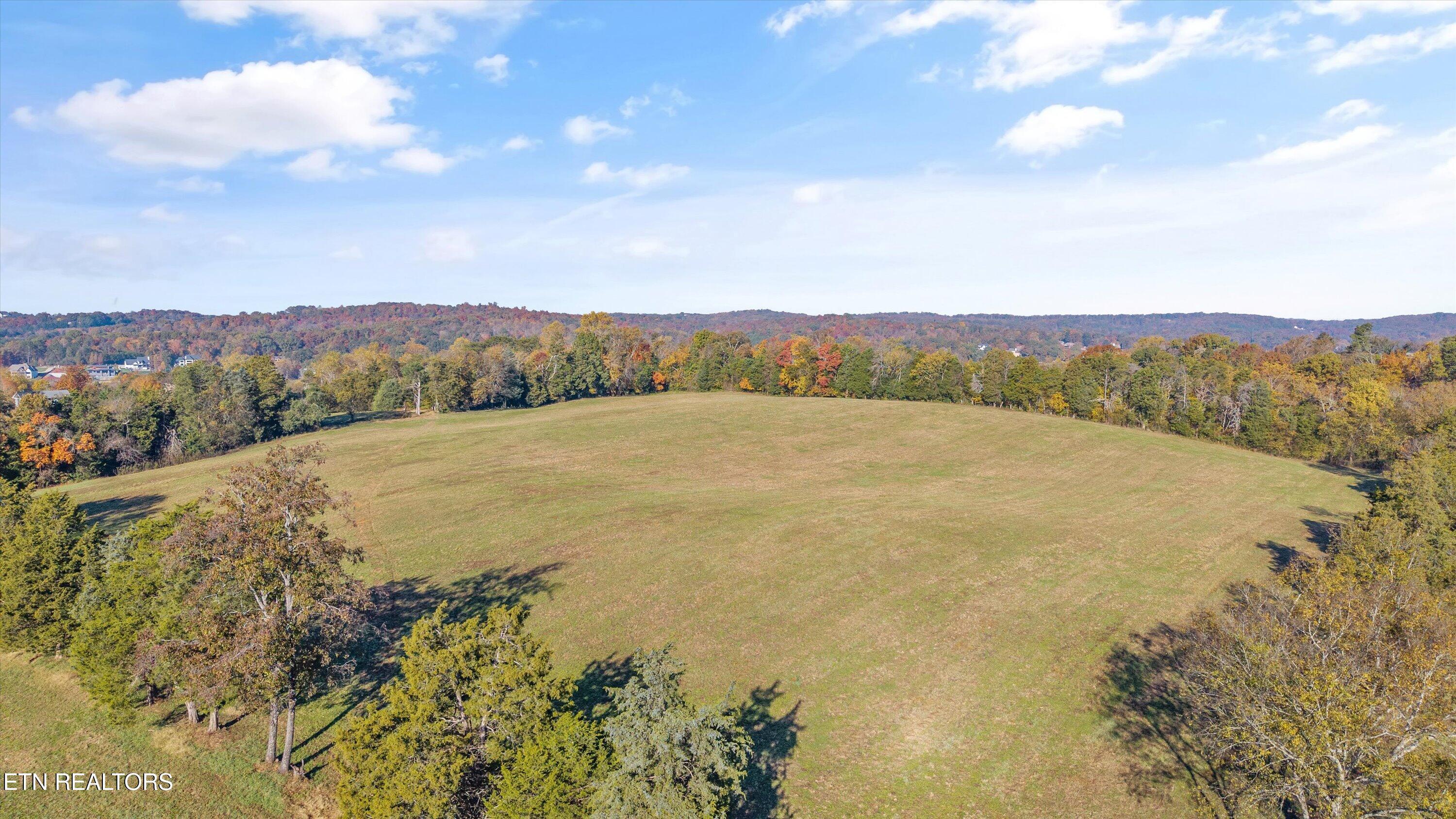 727 Bales Hollow Rd, Friendsville, TN - Fort Loudoun and Tellico Lake Real Estate - Image# 9