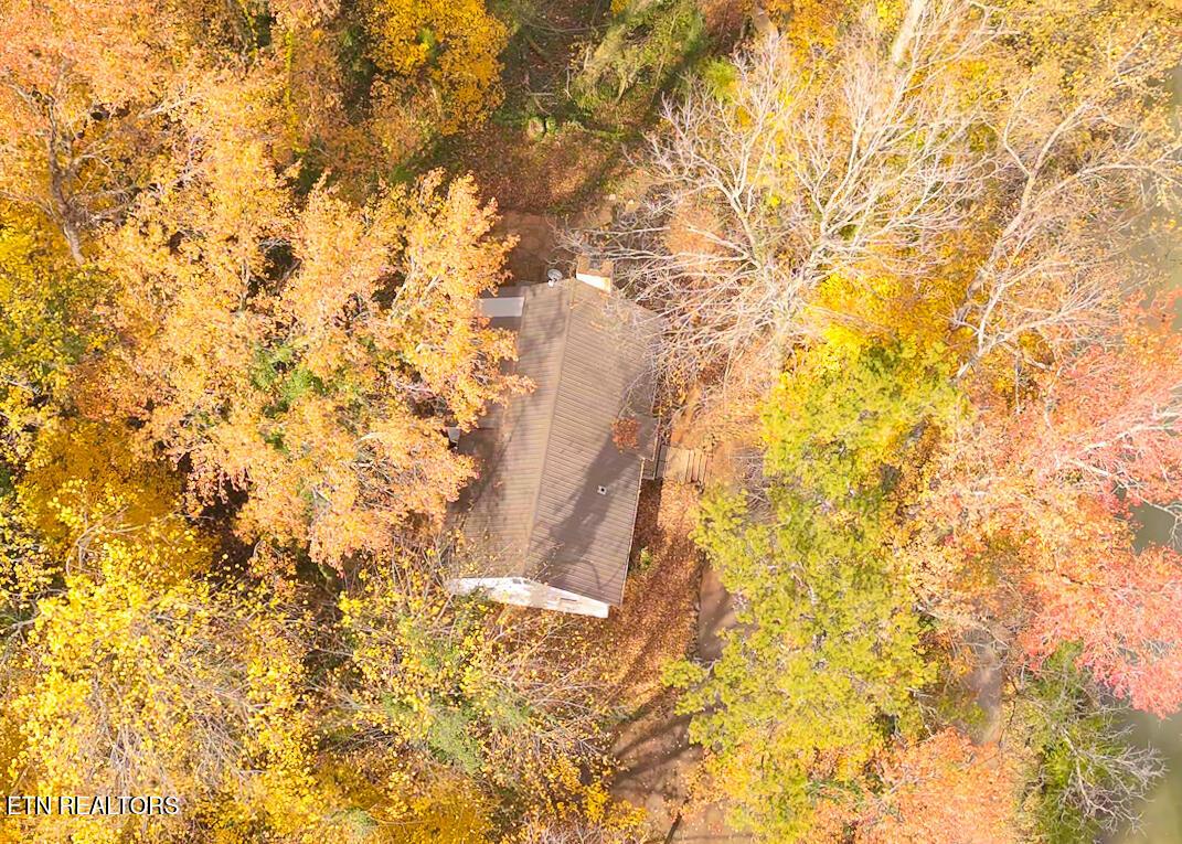 2353 Quiet Side Lane, Knoxville, TN - Fort Loudoun and Tellico Lake Real Estate - Image# 4