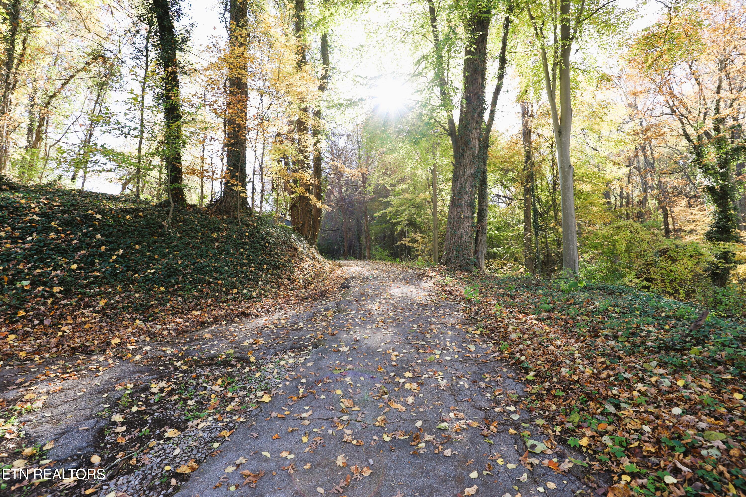 2365 & 0 Quiet Side Lane, Knoxville, TN - Fort Loudoun and Tellico Lake Real Estate - Image# 3