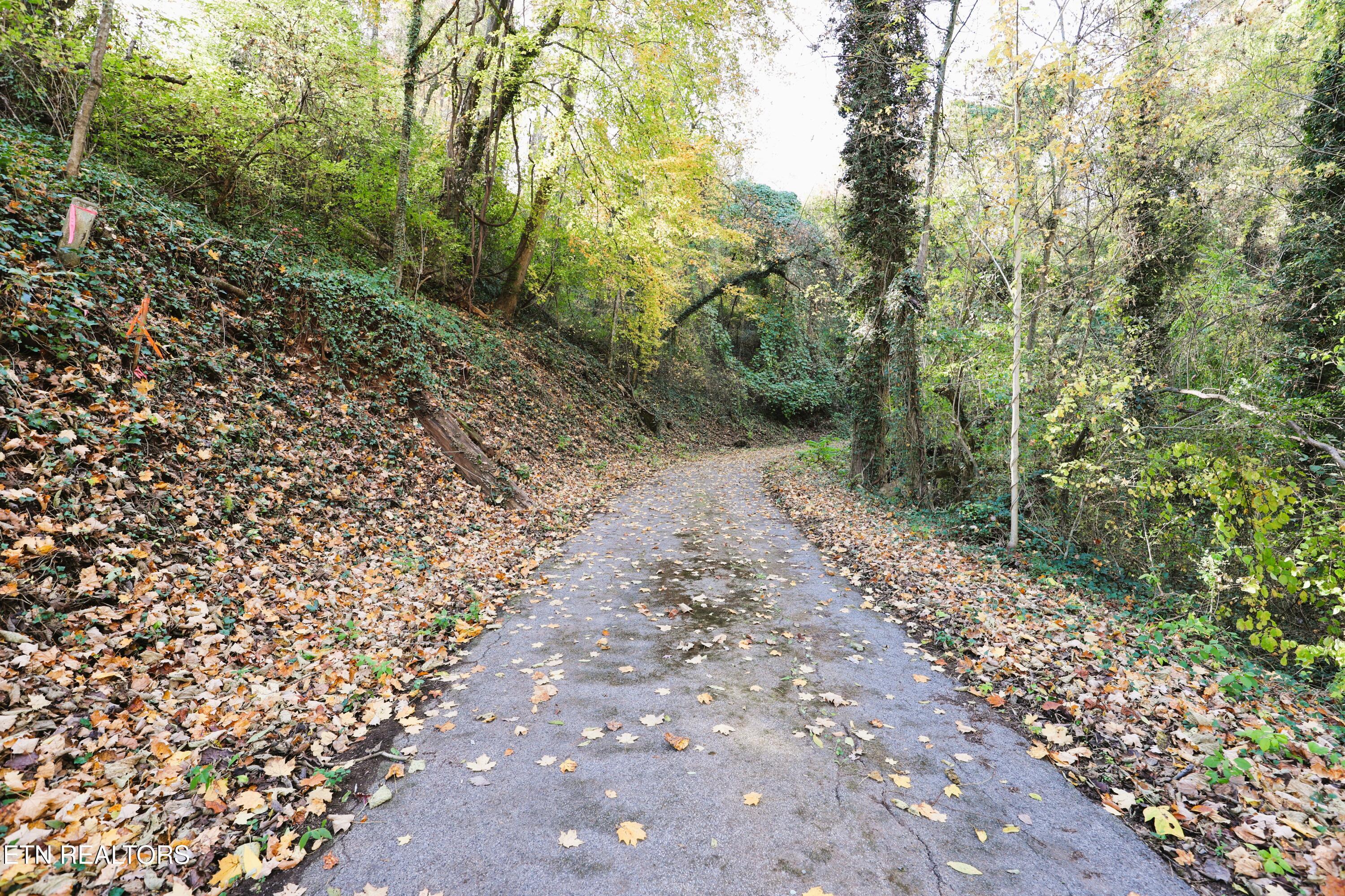 2365 & 0 Quiet Side Lane, Knoxville, TN - Fort Loudoun and Tellico Lake Real Estate - Image# 2