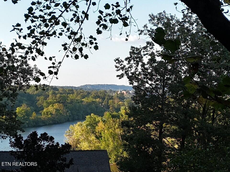 2365 & 0 Quiet Side Lane, Knoxville, TN - Fort Loudoun and Tellico Lake Real Estate - Image# 7