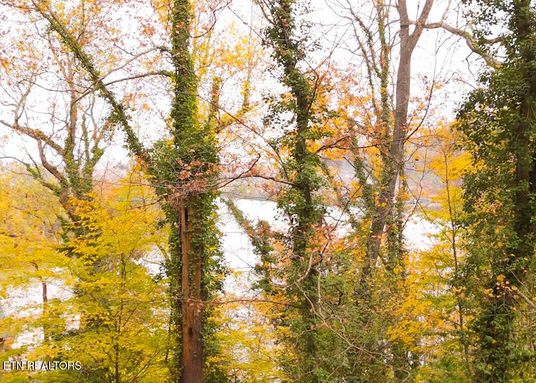 2365 & 0 Quiet Side Lane, Knoxville, TN - Fort Loudoun and Tellico Lake Real Estate - Image# 5