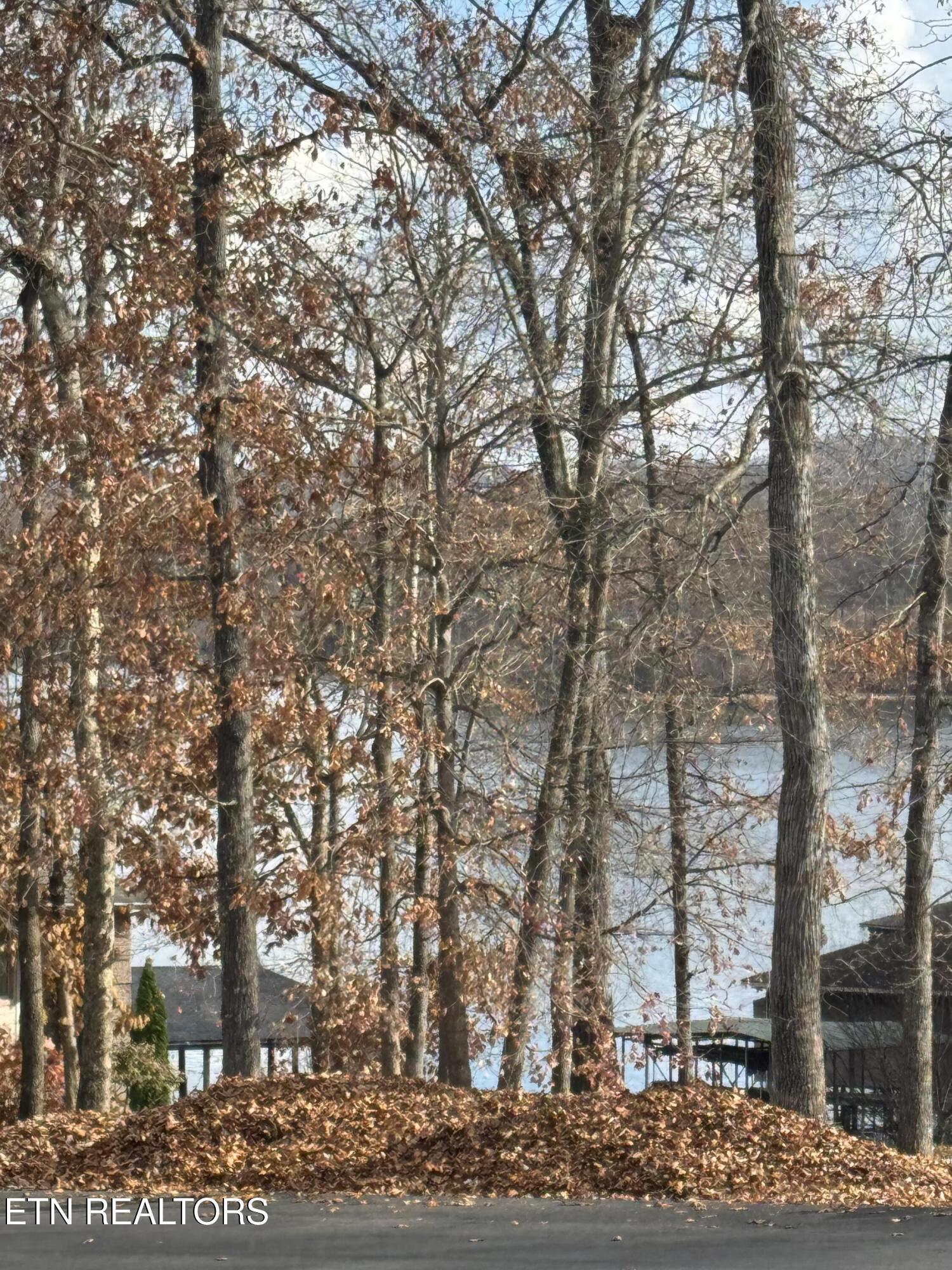 301 Cheestana Way, Loudon, TN - Fort Loudoun and Tellico Lake Real Estate - Image# 3