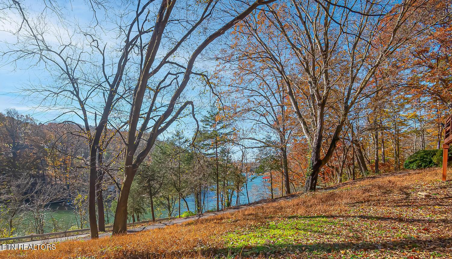 2708 Williams Rd, Knoxville, TN - Fort Loudoun and Tellico Lake Real Estate - Image# 25