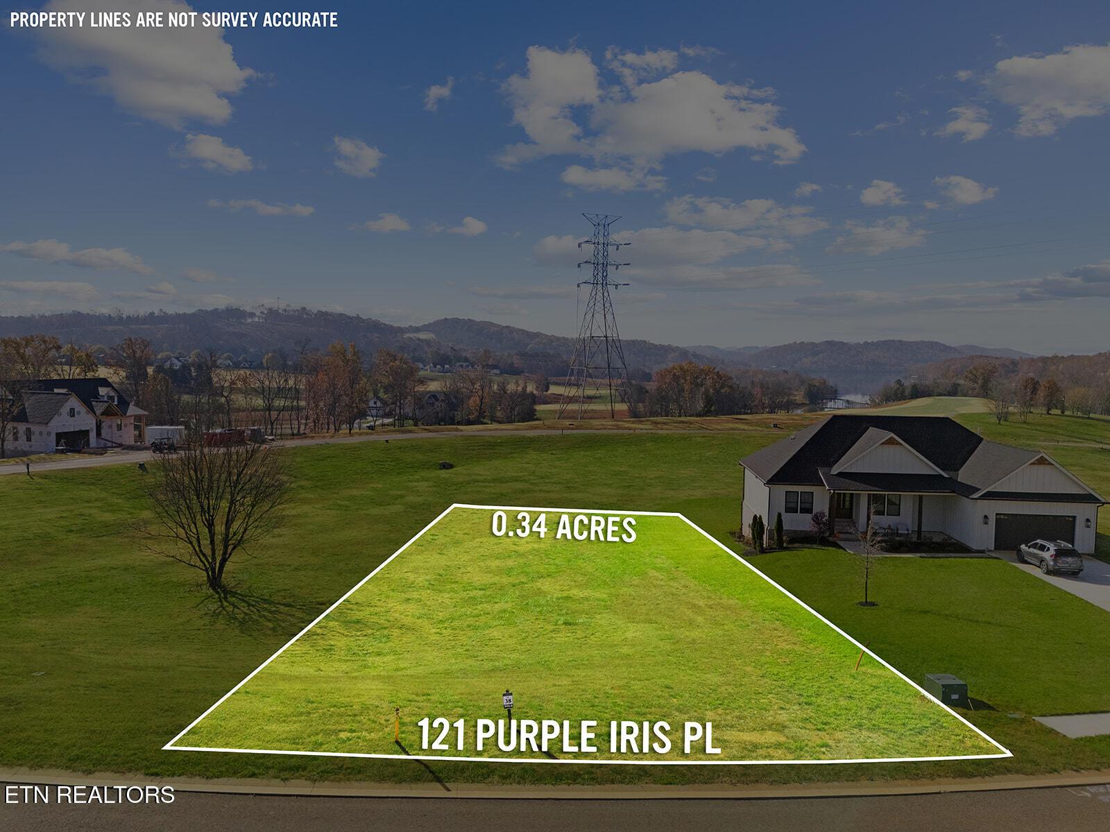 121 Purple Iris Place, Loudon, TN - Fort Loudoun and Tellico Lake Real Estate - Image# 5