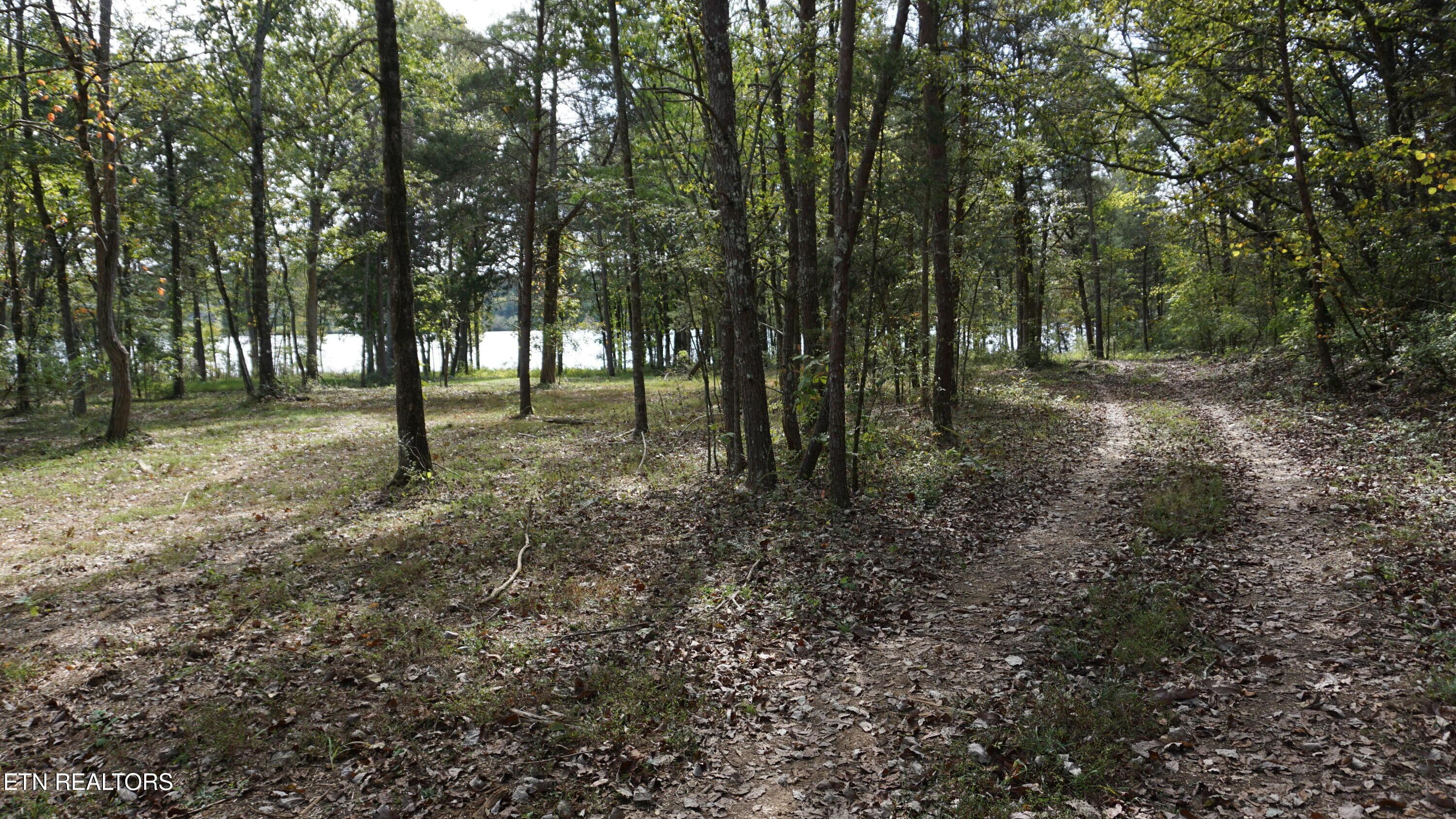 Ralph Phelps Rd, Louisville, TN - Fort Loudoun and Tellico Lake Real Estate - Image# 14