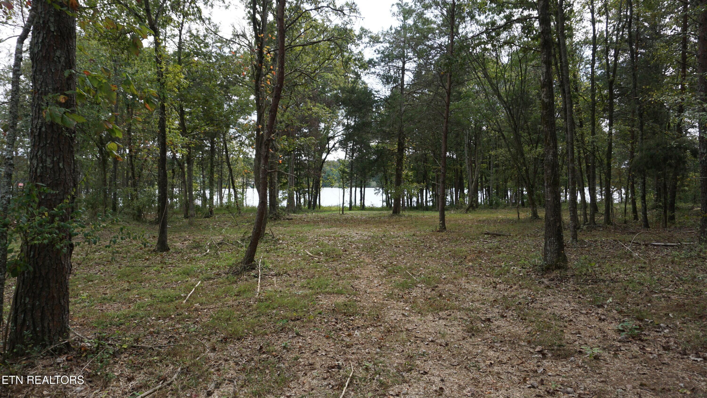 Ralph Phelps Rd, Louisville, TN - Fort Loudoun and Tellico Lake Real Estate - Image# 19