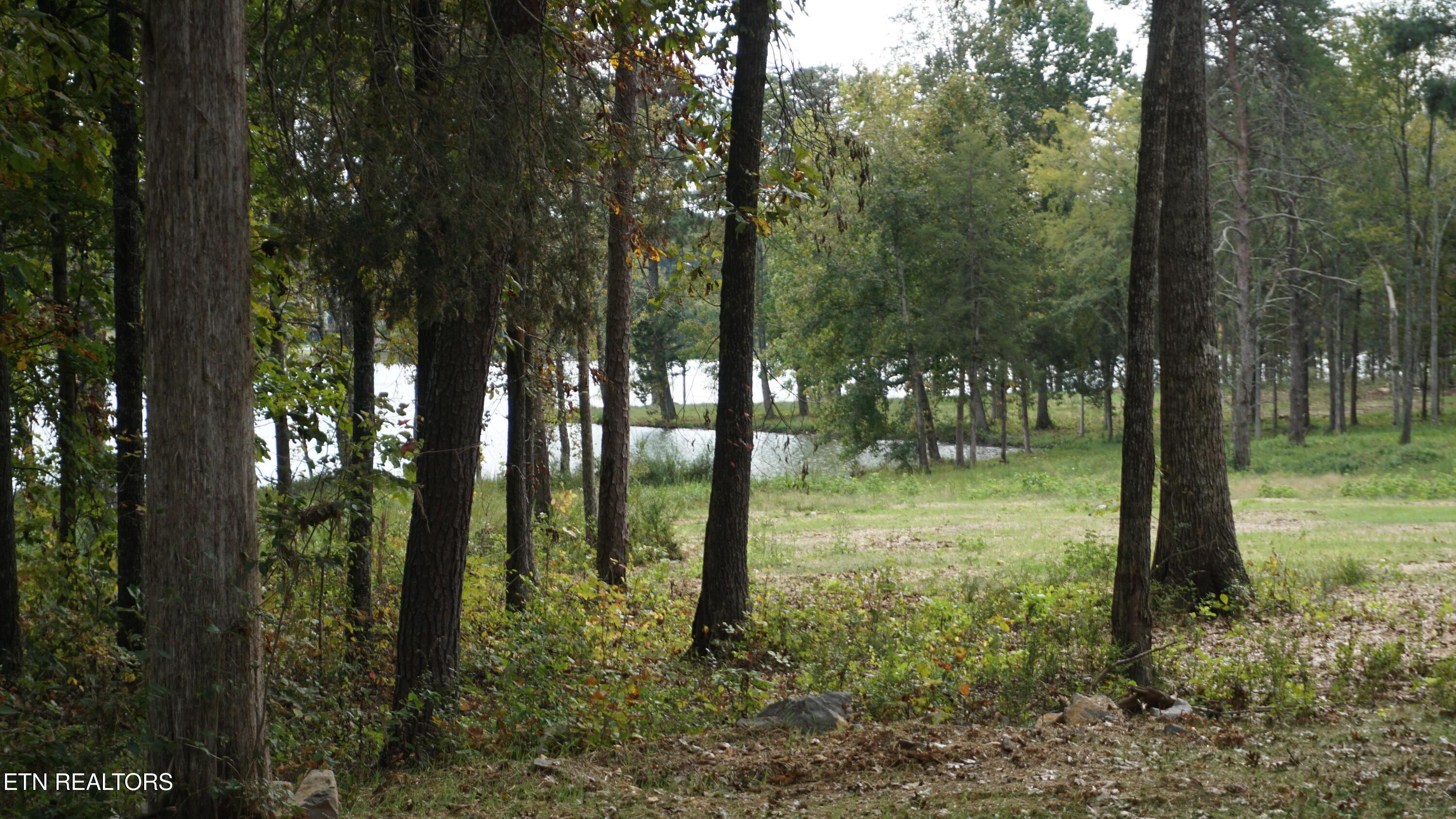 Ralph Phelps Rd, Louisville, TN - Fort Loudoun and Tellico Lake Real Estate - Image# 24