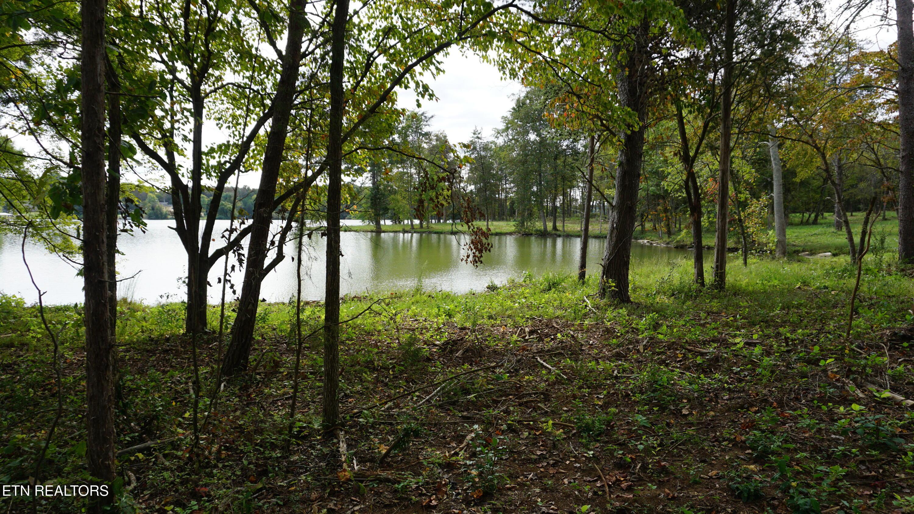 Ralph Phelps Rd, Louisville, TN - Fort Loudoun and Tellico Lake Real Estate - Image# 27