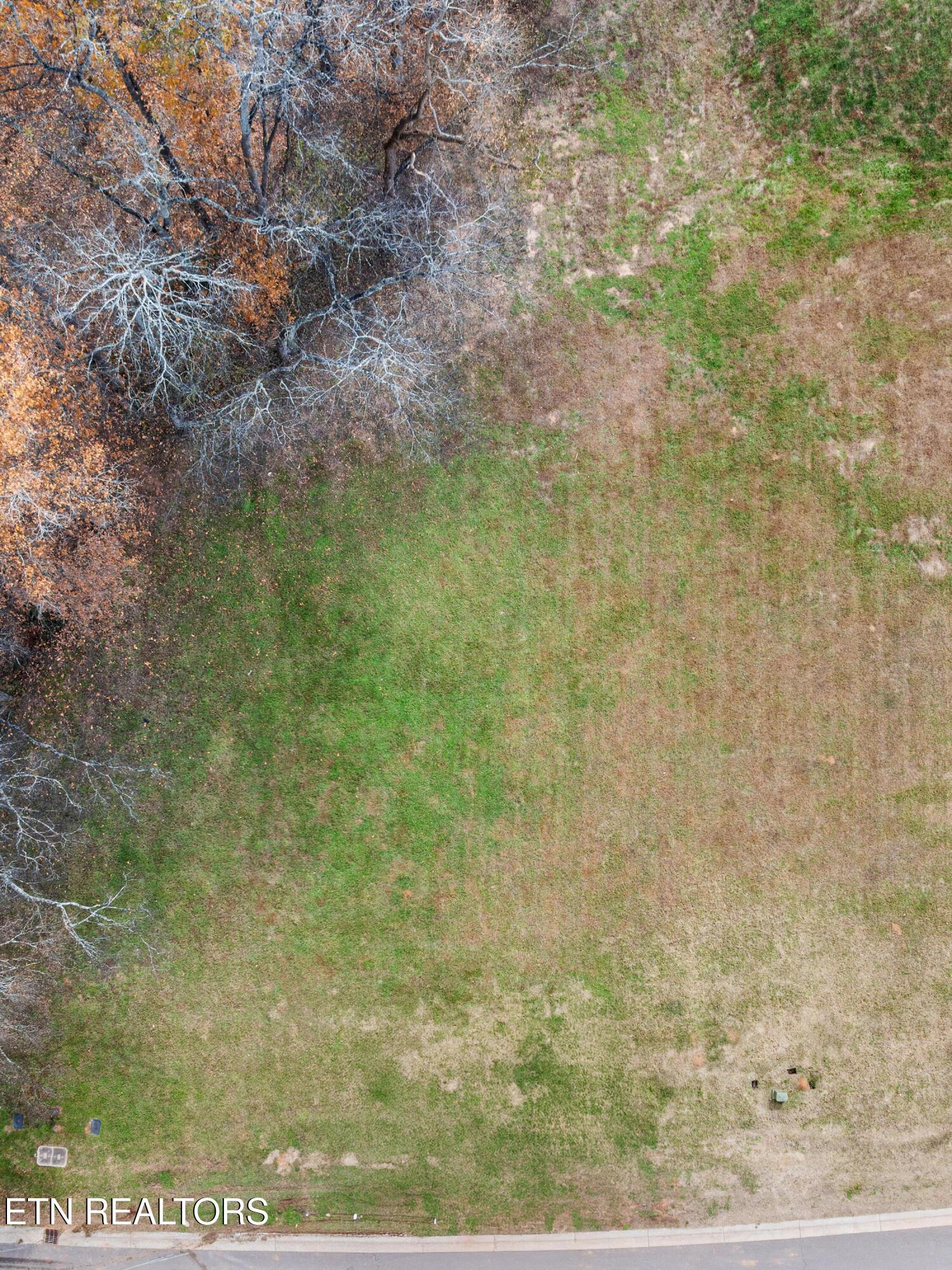 3964 Persimmons Ridge Rd, Loudon, TN - Fort Loudoun and Tellico Lake Real Estate - Image# 12