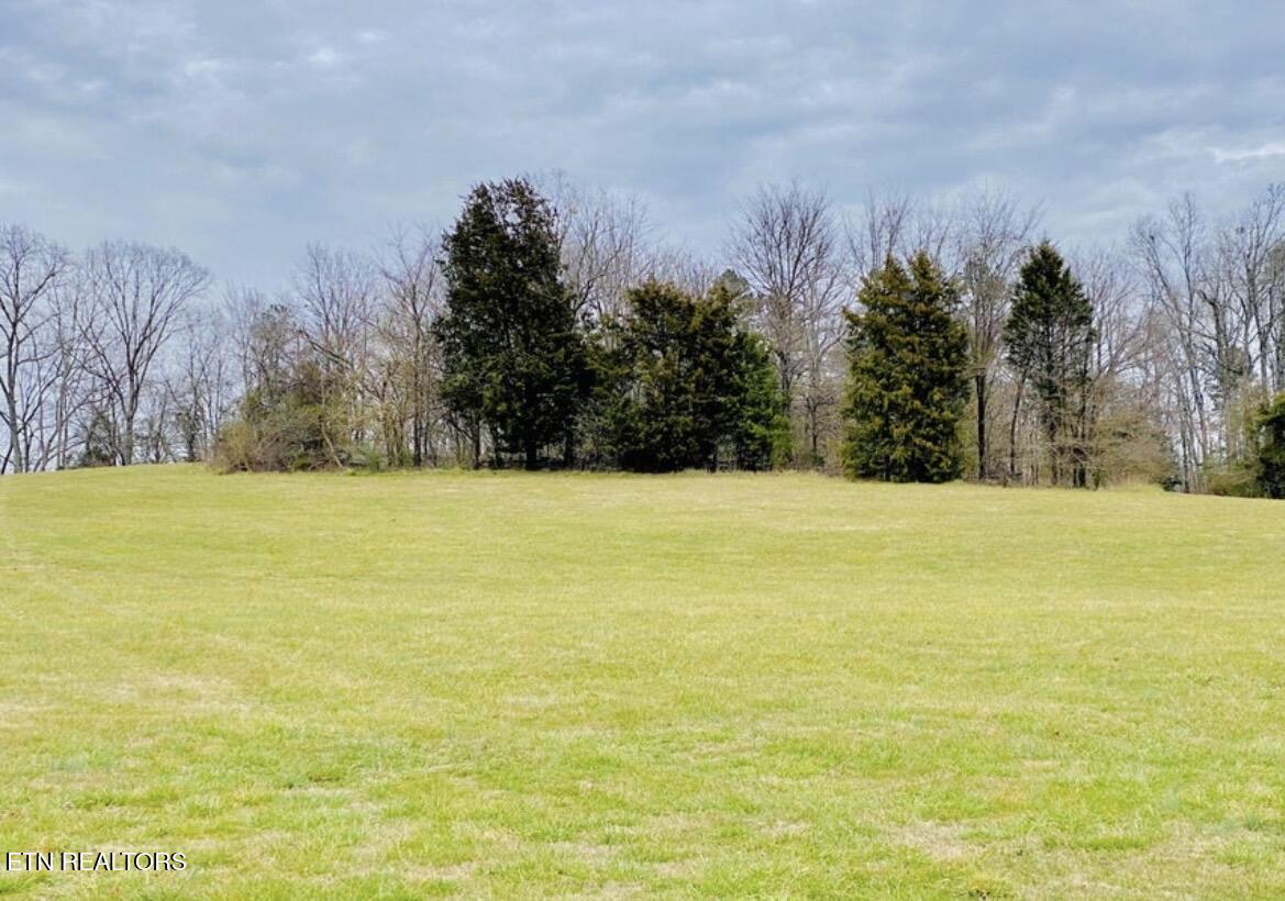 Thunder Ridge Dr Drive, Vonore, TN - Fort Loudoun and Tellico Lake Real Estate - Image# 2