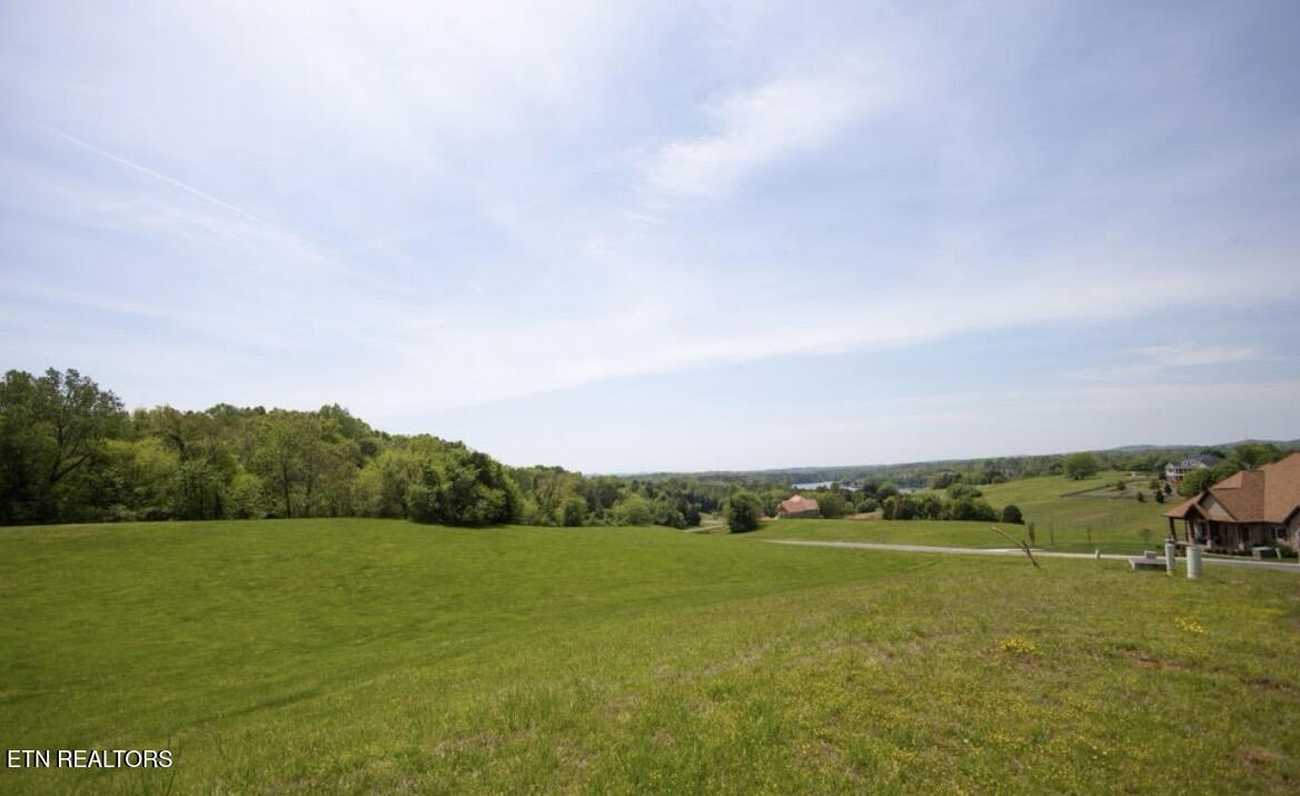 Thunder Ridge Dr Drive, Vonore, TN - Fort Loudoun and Tellico Lake Real Estate - Image# 5