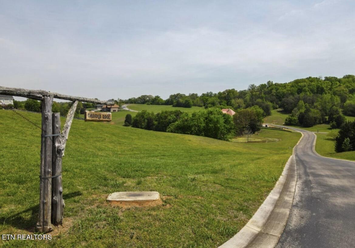 Thunder Ridge Dr Drive, Vonore, TN - Fort Loudoun and Tellico Lake Real Estate - Image# 7
