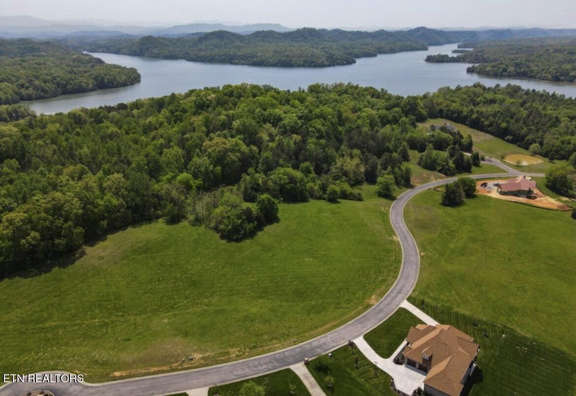 Thunder Ridge Dr Drive, Vonore, TN - Fort Loudoun and Tellico Lake Real Estate - Image# 9