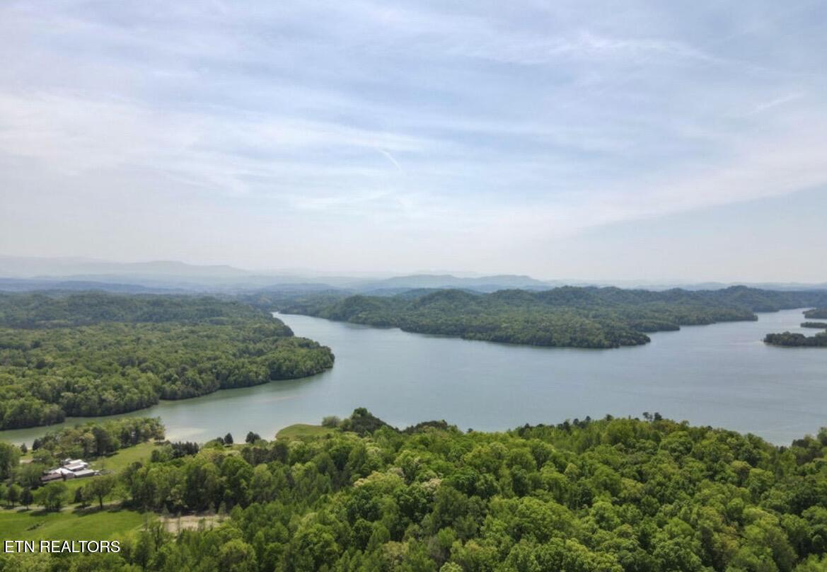 Thunder Ridge Dr Drive, Vonore, TN - Fort Loudoun and Tellico Lake Real Estate - Image# 11