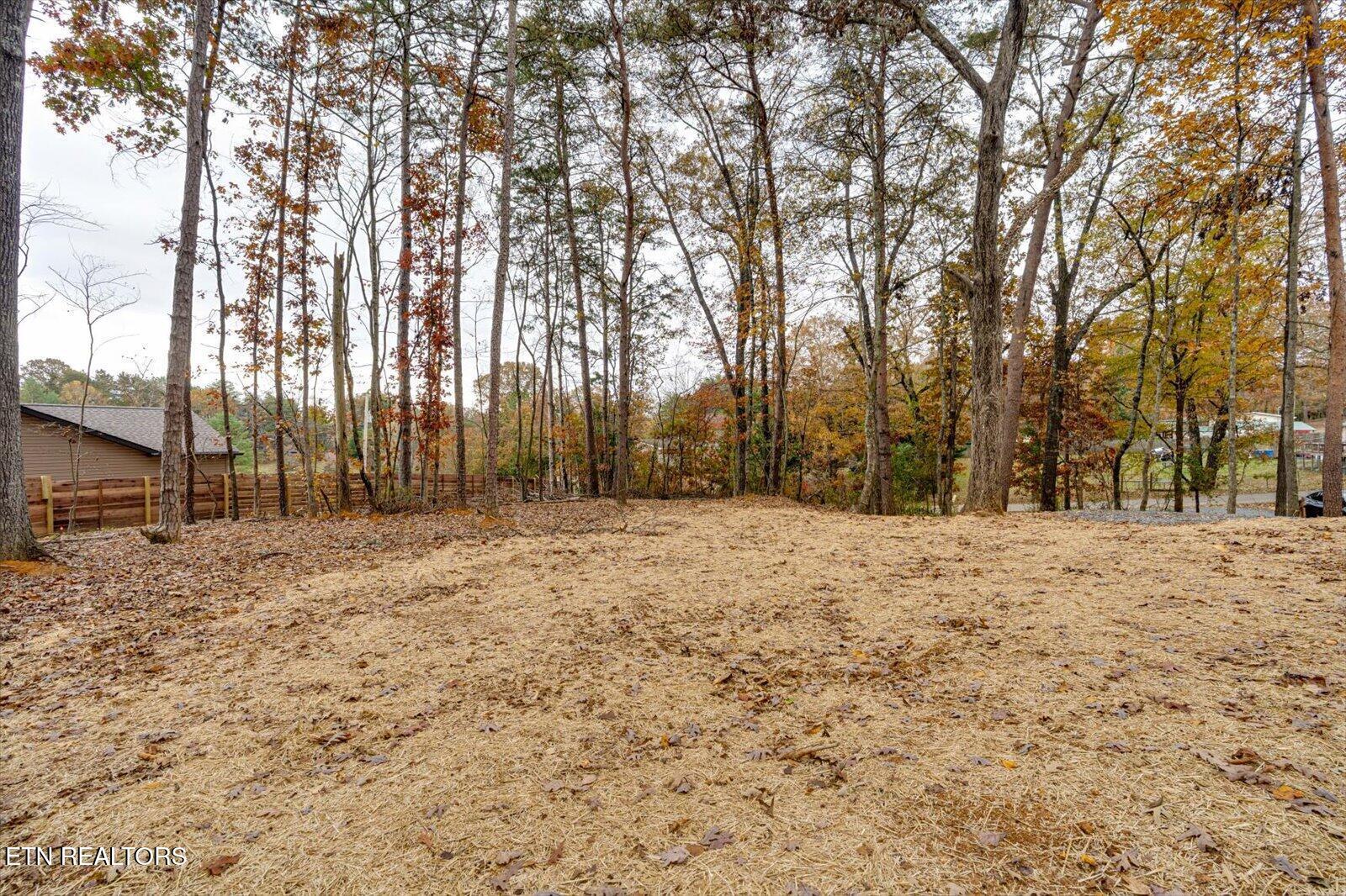 120 Elm Grove St, Loudon, TN - Fort Loudoun and Tellico Lake Real Estate - Image# 28