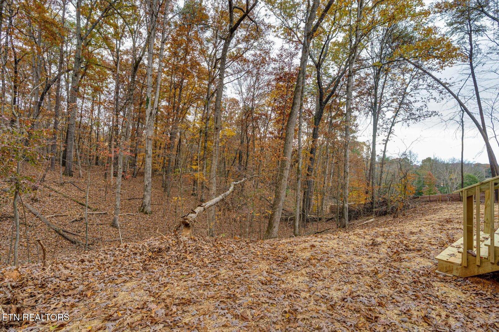 120 Elm Grove St, Loudon, TN - Fort Loudoun and Tellico Lake Real Estate - Image# 29