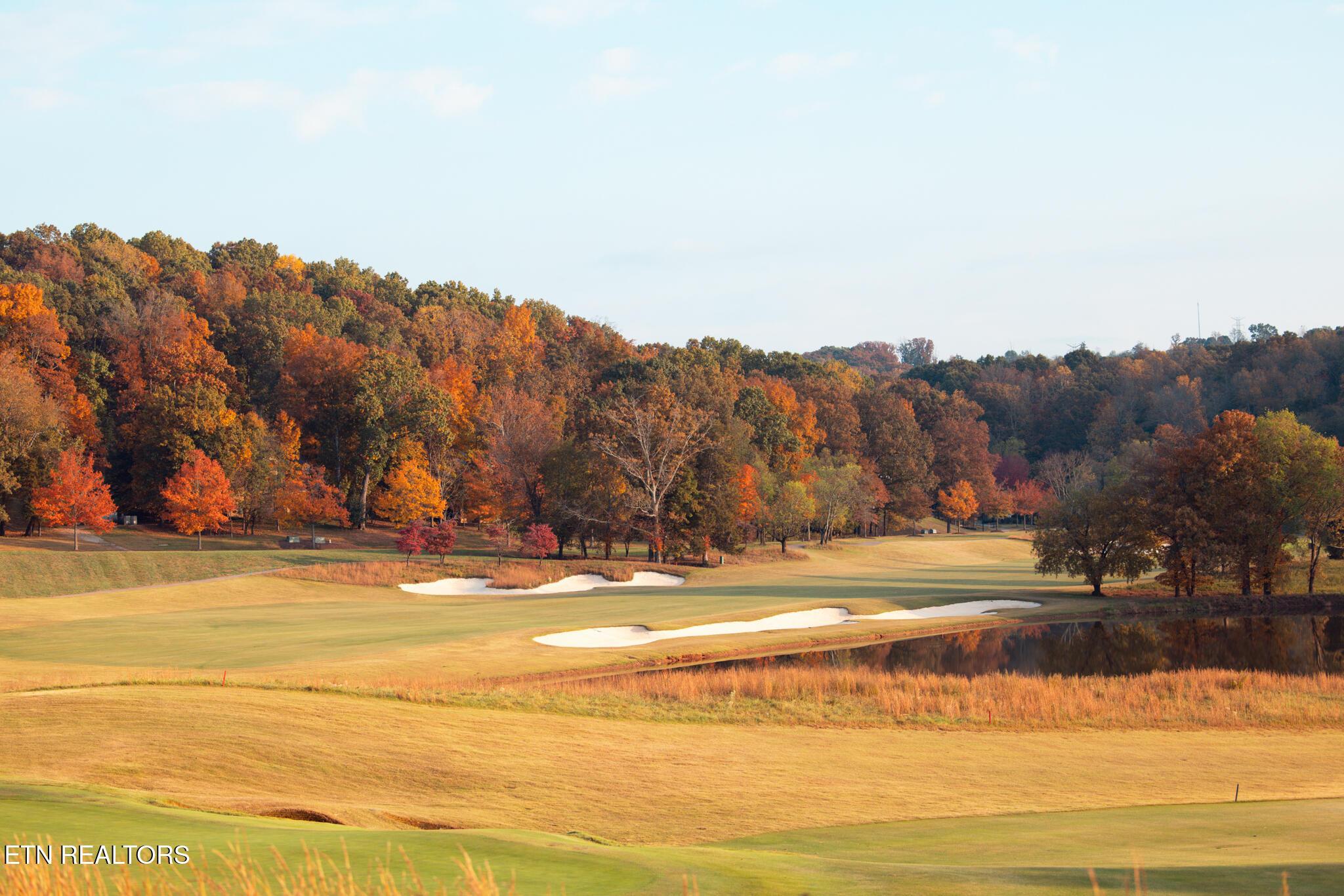 104 Azalea Lane, Loudon, TN - Fort Loudoun and Tellico Lake Real Estate - Image# 11