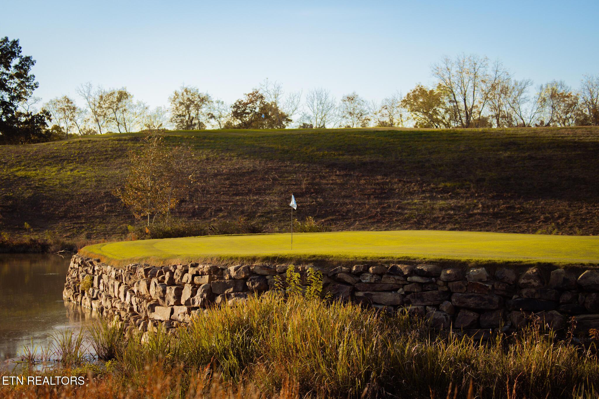 104 Azalea Lane, Loudon, TN - Fort Loudoun and Tellico Lake Real Estate - Image# 8