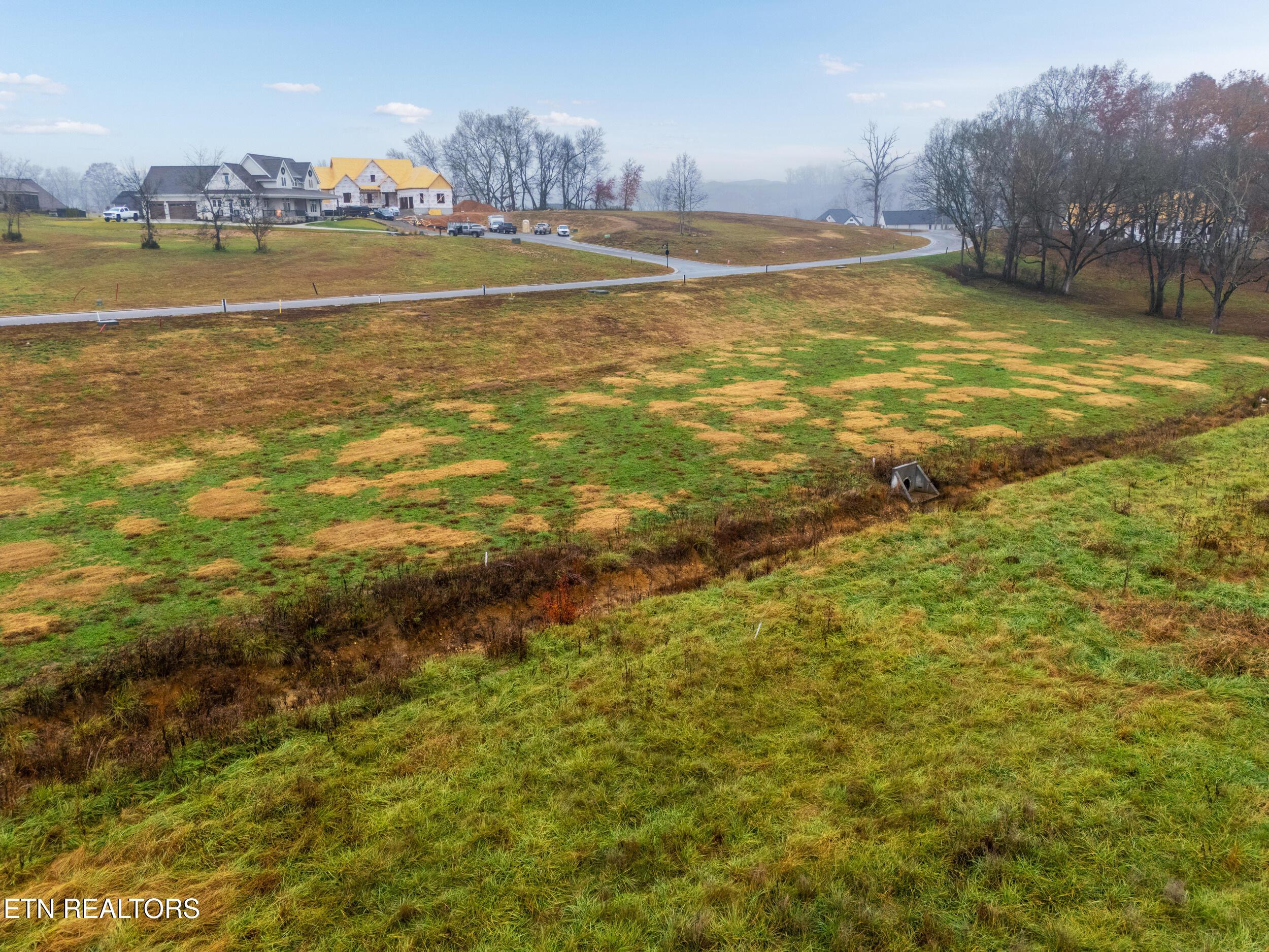 2920 Chestnut Lane, Loudon, TN - Fort Loudoun and Tellico Lake Real Estate - Image# 6