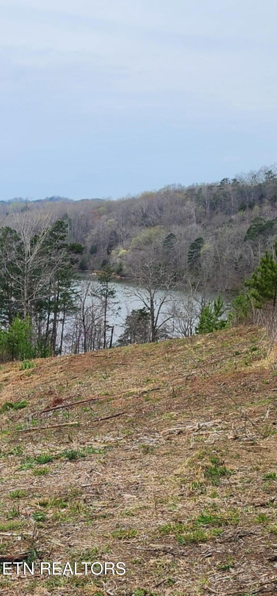 Lot 77 Saddleback Drive, Vonore, TN