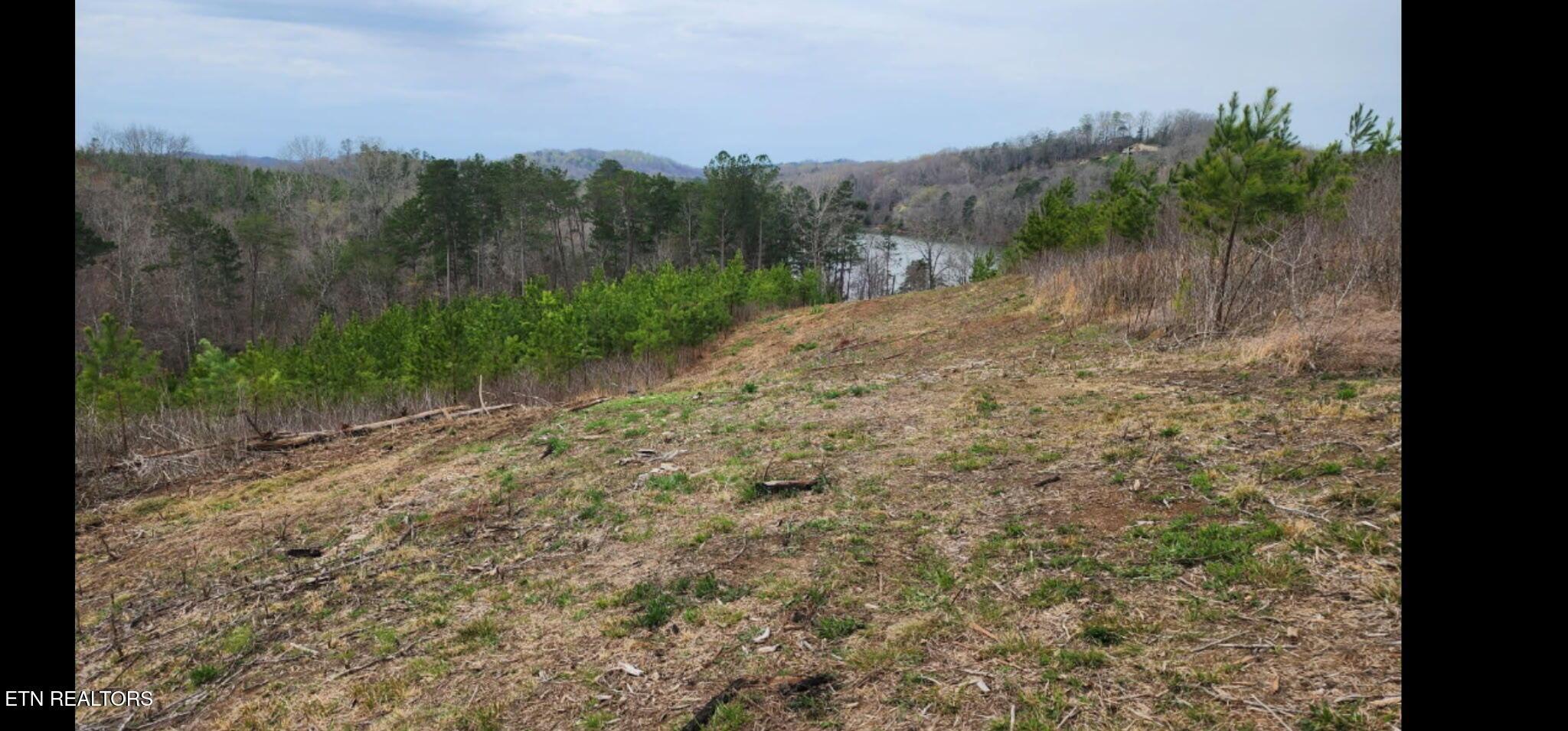 Lot 77 Saddleback Drive, Vonore, TN - Fort Loudoun and Tellico Lake Real Estate - Image# 2