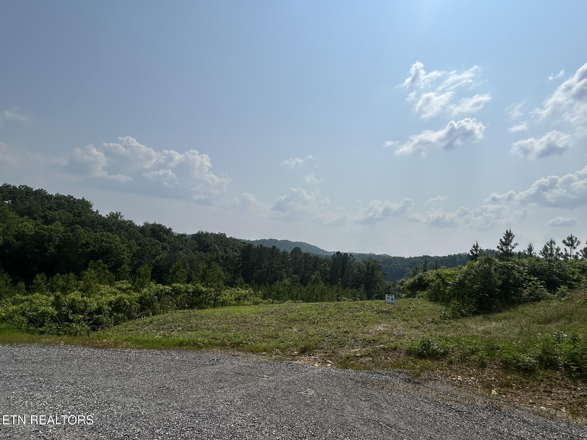 Lot 77 Saddleback Drive, Vonore, TN - Fort Loudoun and Tellico Lake Real Estate - Image# 7