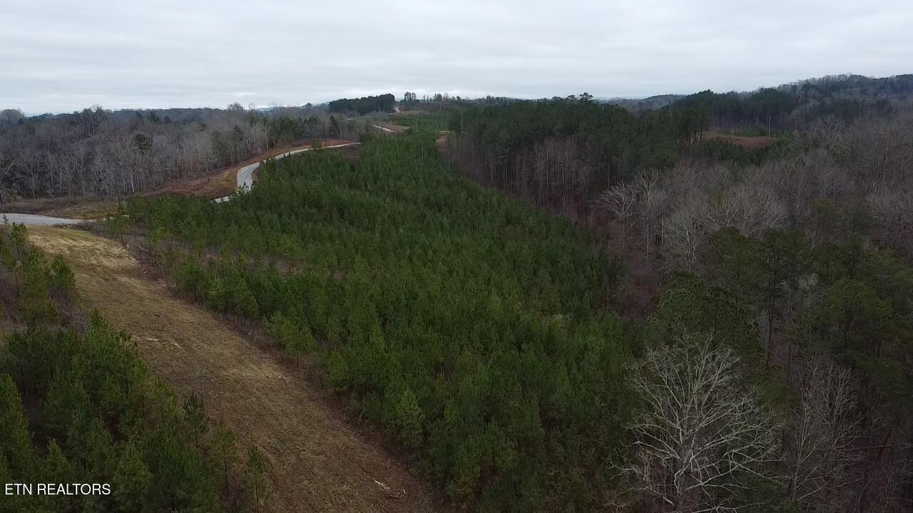 Fort Loudoun and Tellico Lake Real Estate - Image# 21