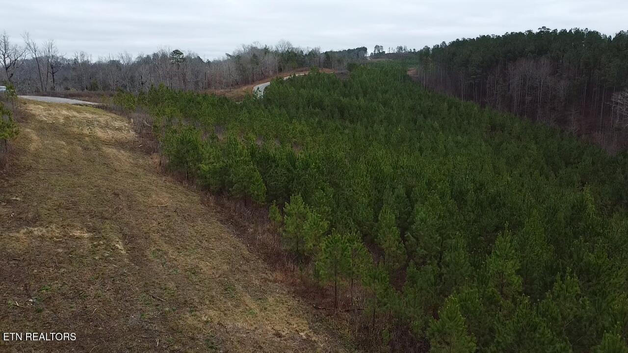 Fort Loudoun and Tellico Lake Real Estate - Image# 20