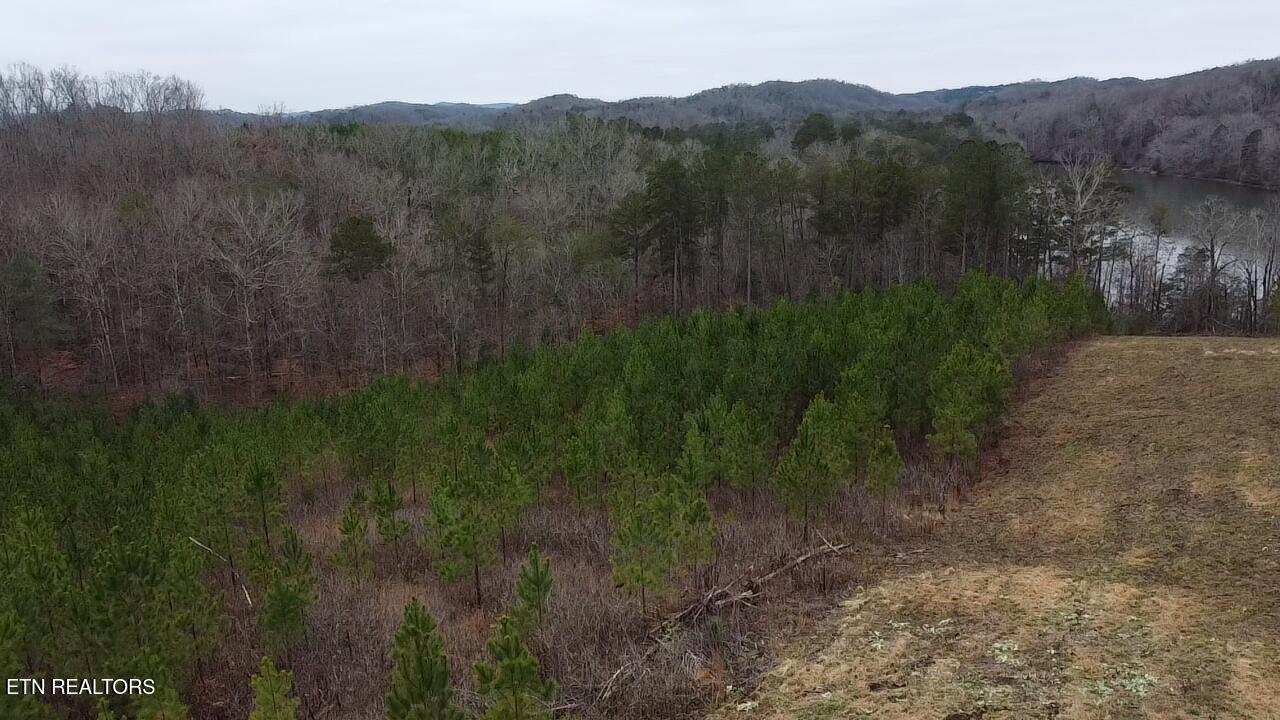 Fort Loudoun and Tellico Lake Real Estate - Image# 22