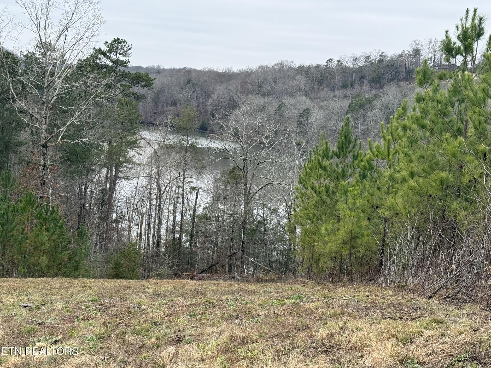 Fort Loudoun and Tellico Lake Real Estate - Image# 11