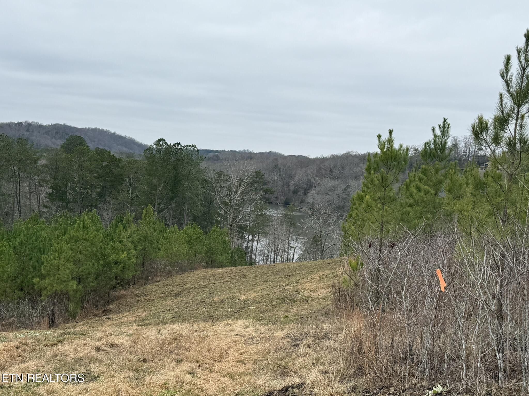 Fort Loudoun and Tellico Lake Real Estate - Image# 15