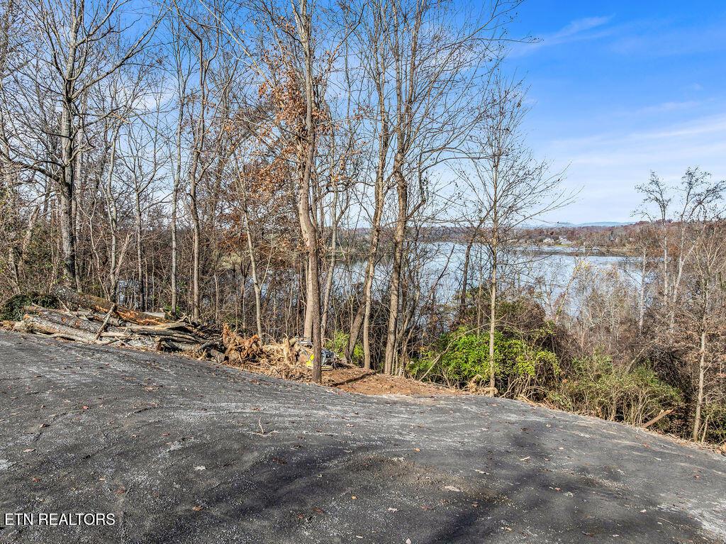 Fort Loudoun and Tellico Lake Real Estate - Image# 4