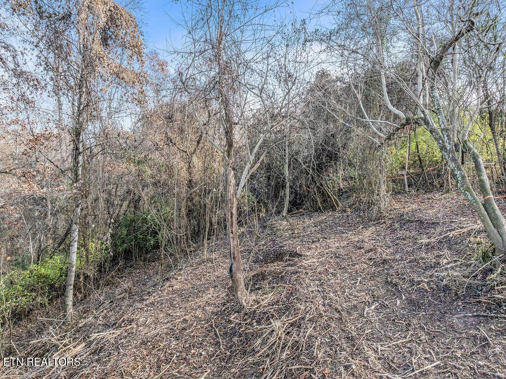 Fort Loudoun and Tellico Lake Real Estate - Image# 8