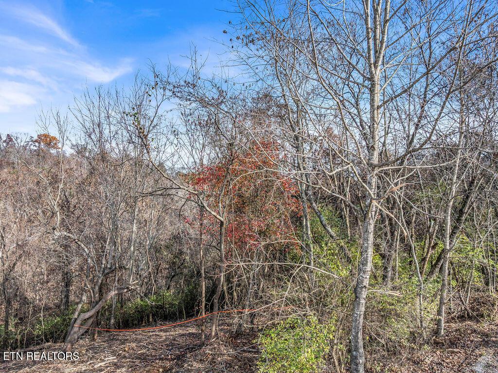 Fort Loudoun and Tellico Lake Real Estate - Image# 9