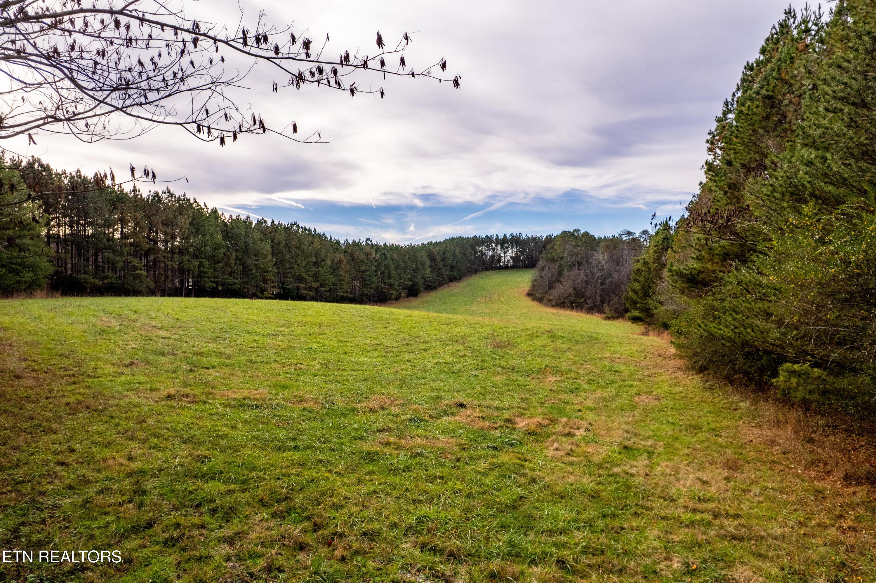Fort Loudoun and Tellico Lake Real Estate - Image# 13