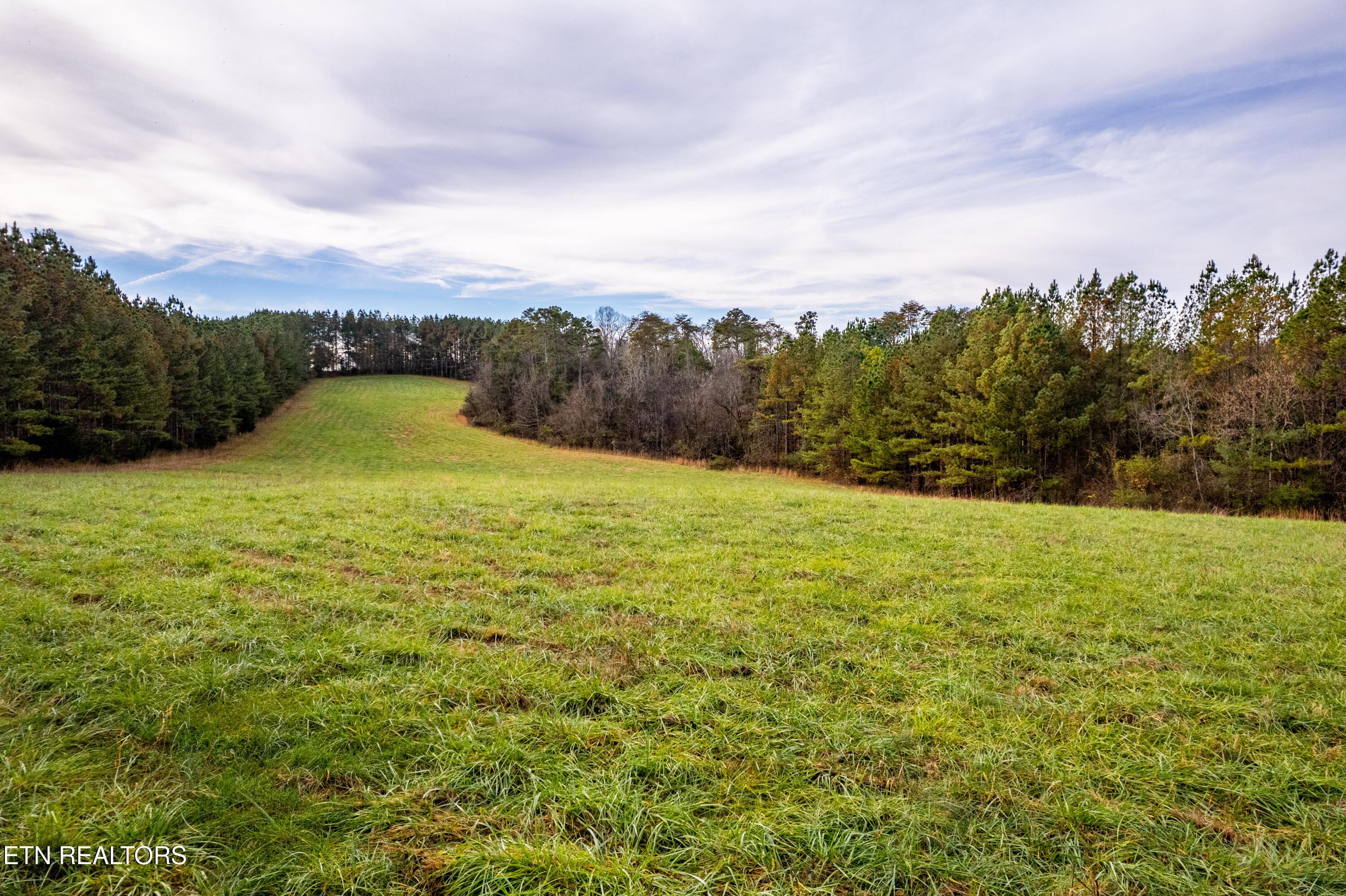 Fort Loudoun and Tellico Lake Real Estate - Image# 14