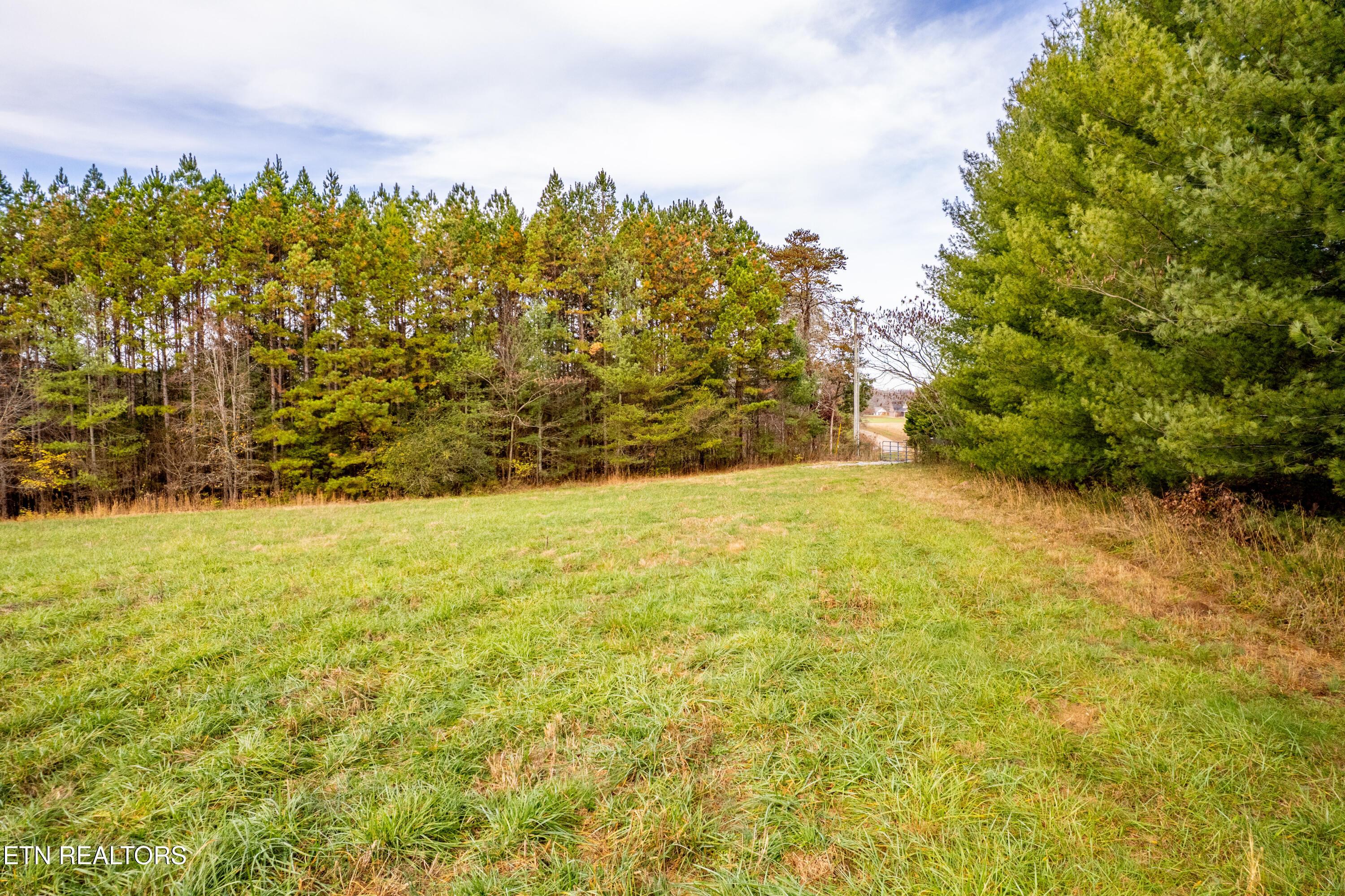 Fort Loudoun and Tellico Lake Real Estate - Image# 15