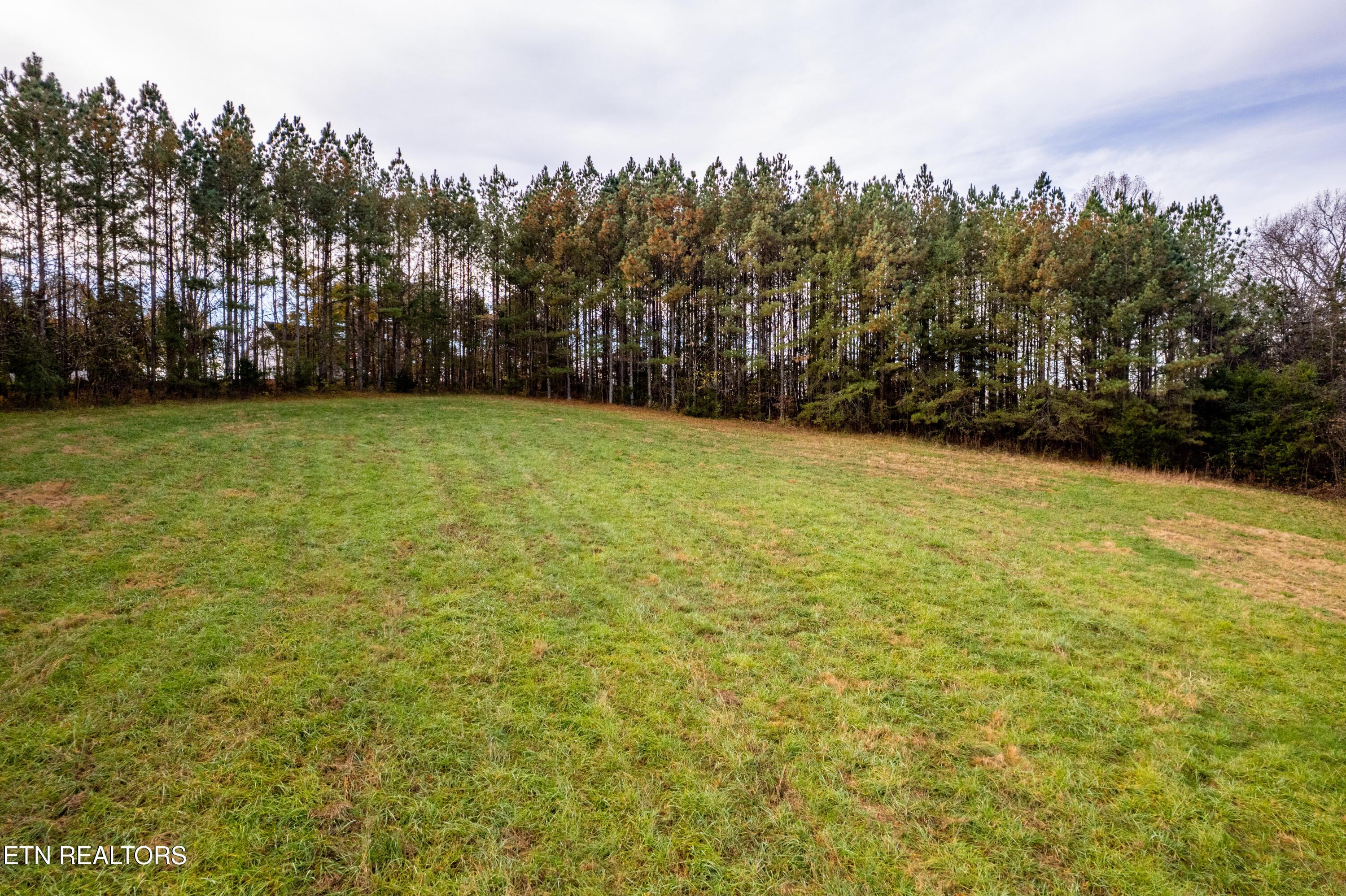 Fort Loudoun and Tellico Lake Real Estate - Image# 16