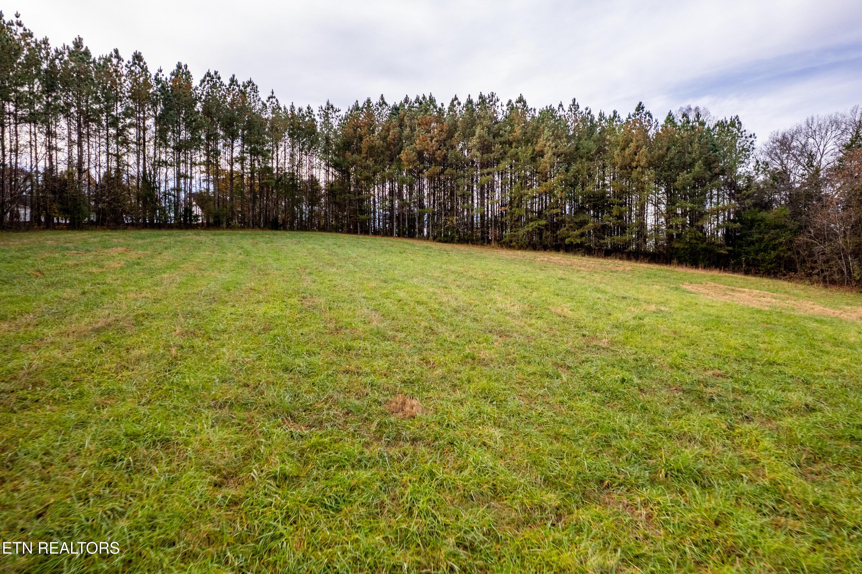 Fort Loudoun and Tellico Lake Real Estate - Image# 17