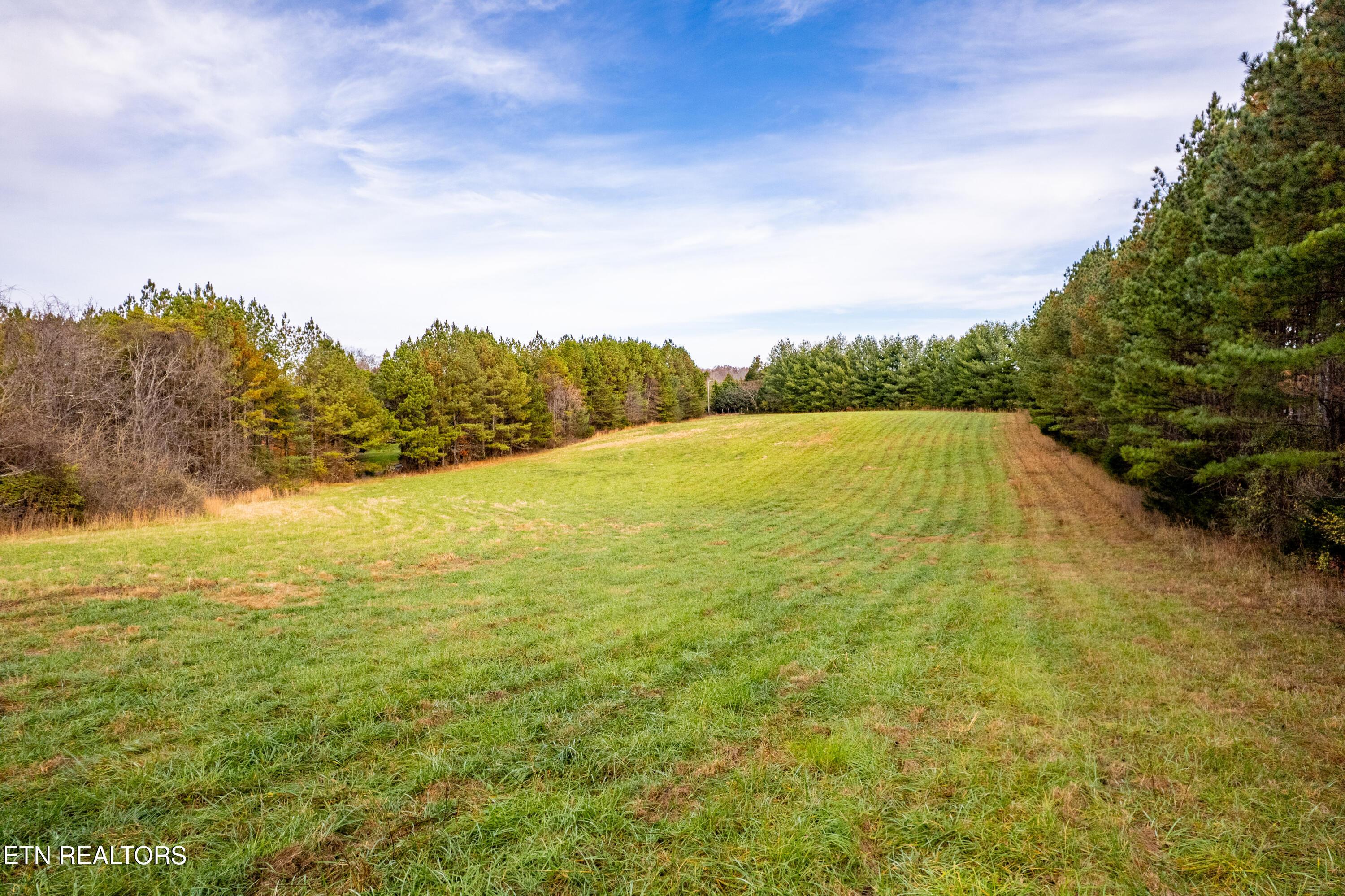 Fort Loudoun and Tellico Lake Real Estate - Image# 18